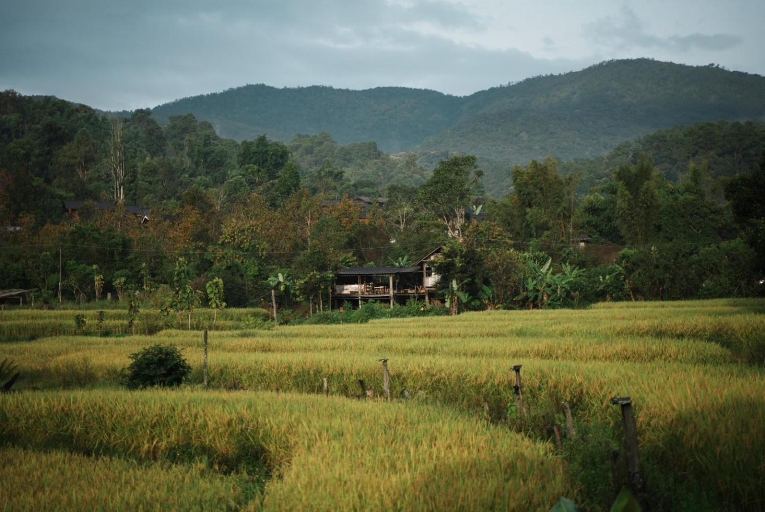 A Pousada Por Joi ,Por Dee House Chiang Mai Exterior foto